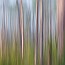 thumbs/IMG_8718.jpg